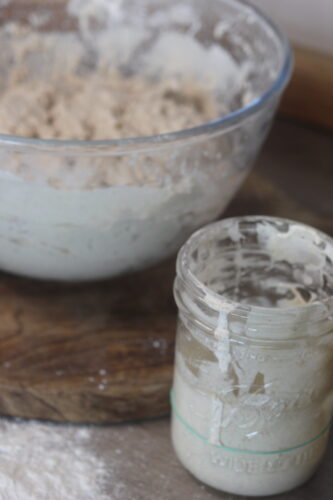 Sourdough Starter from Scratch