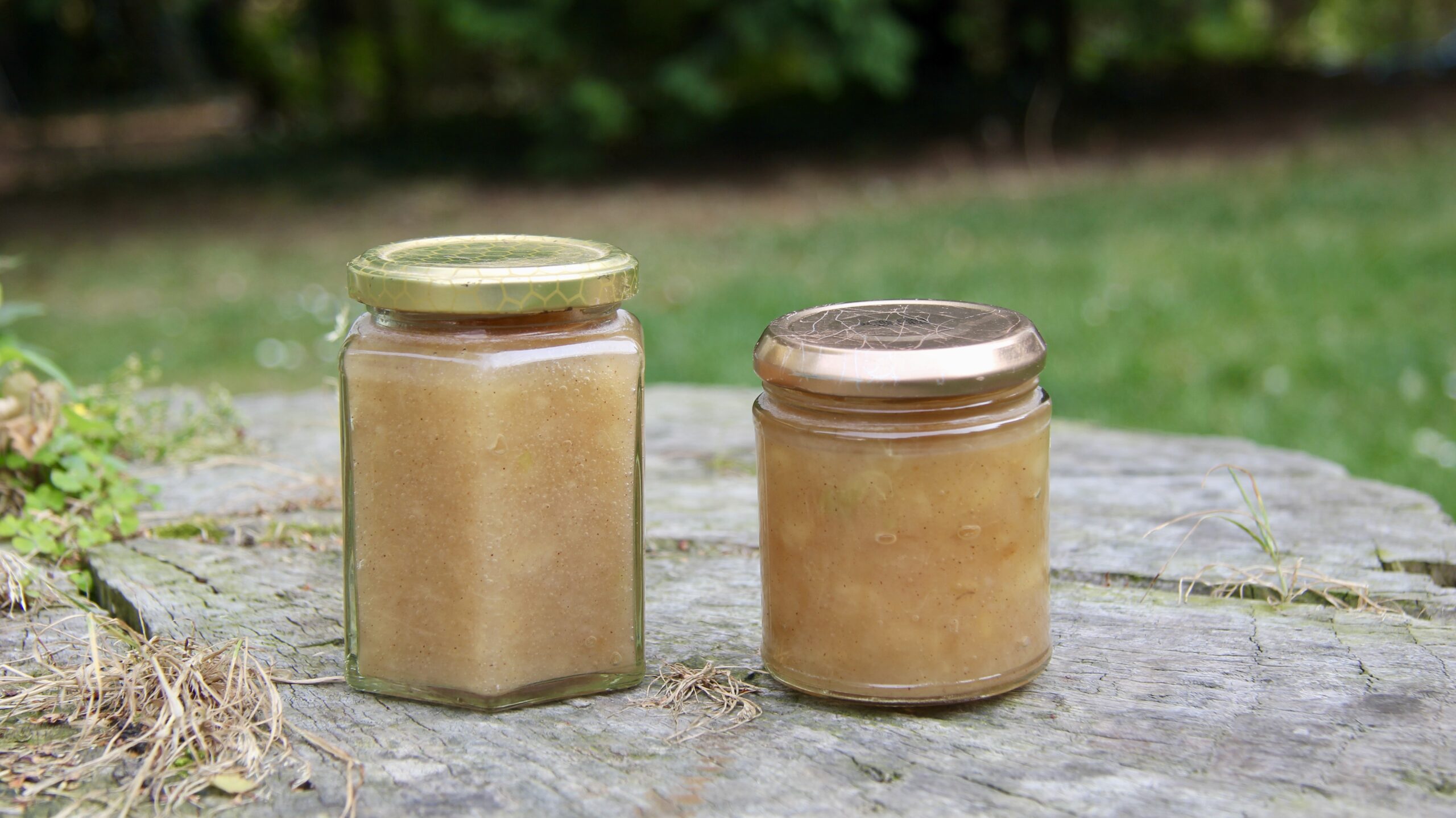 Homemade Apple Sauce Recipe